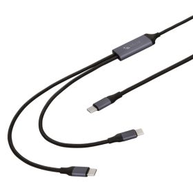 100W 2IN1 USBC-DL C CBL