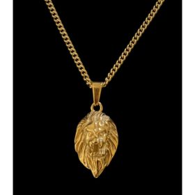 Necklaces (Option: Gold-Lion necklace)