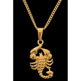 Necklaces (Option: Gold-Scorpion necklace)